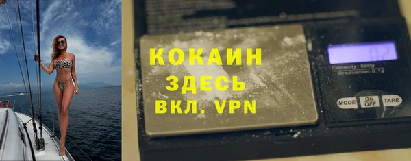 дмт Россошь
