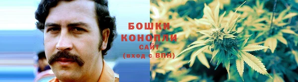 дмт Россошь