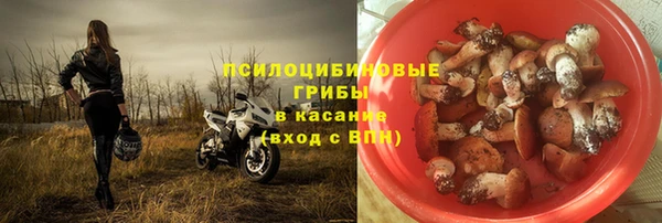 ECSTASY Рославль
