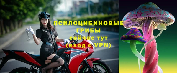 МДПВ Протвино