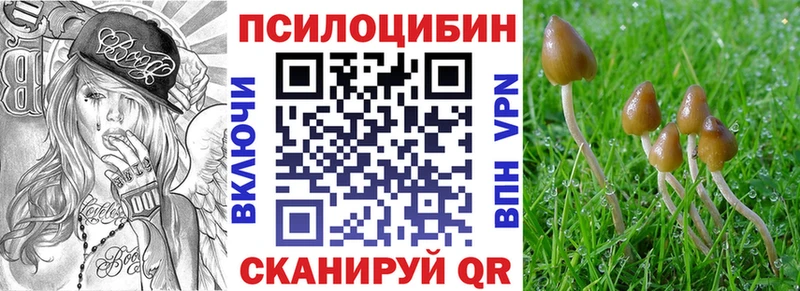 Галлюциногенные грибы мицелий Шахунья